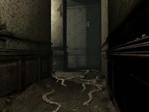 Serpents